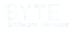 BYTE Software Services logo